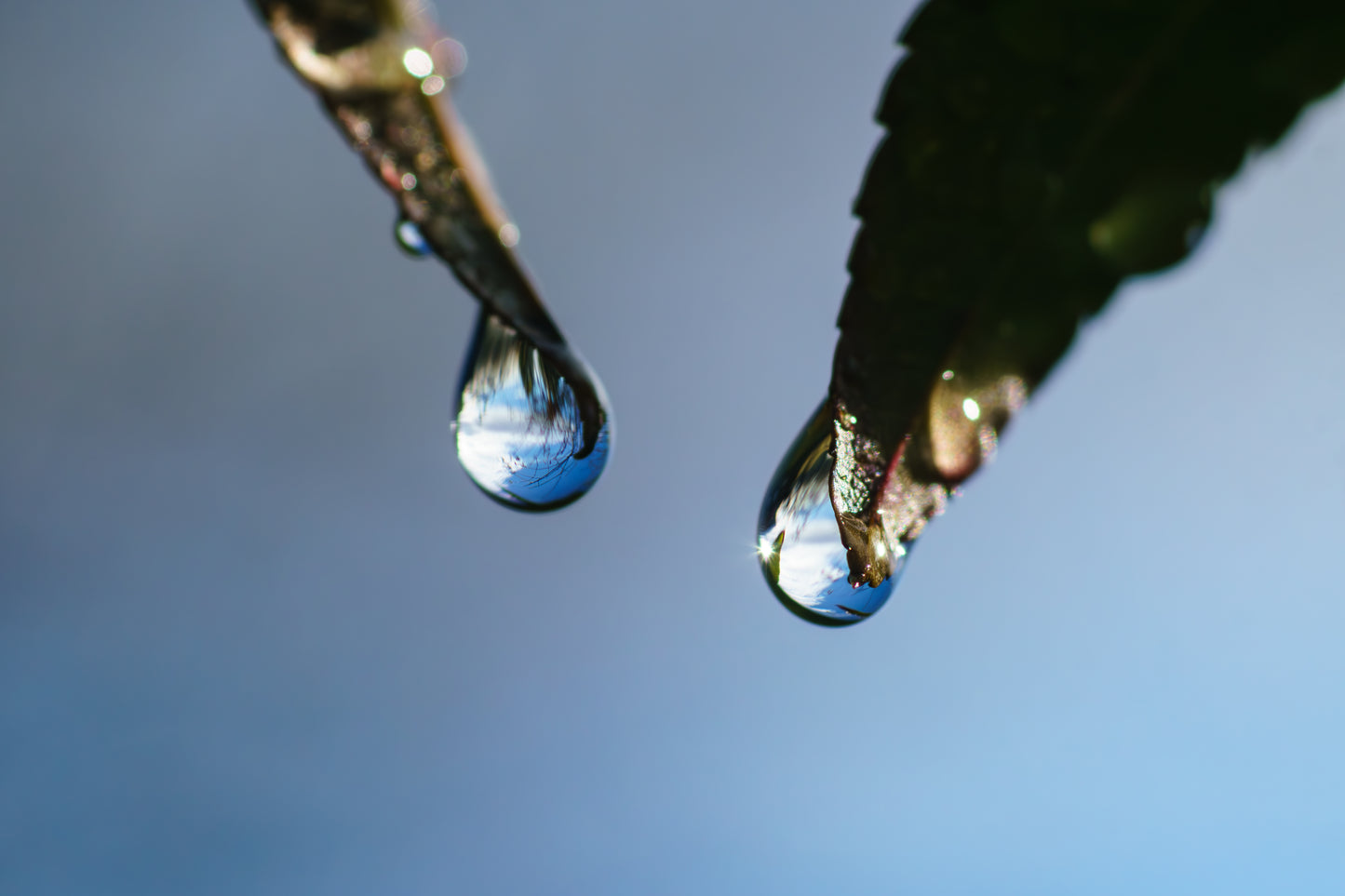 Inner Clarity