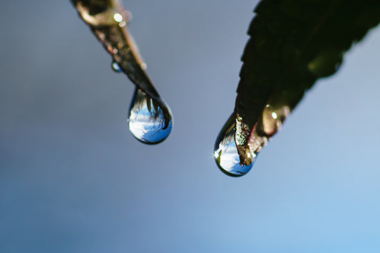 Inner Clarity