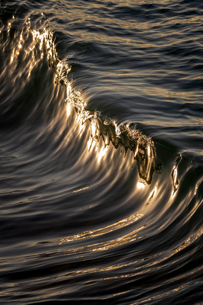 Golden Harmony