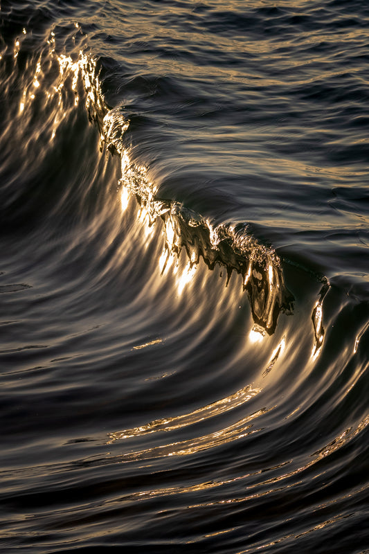 Golden Harmony